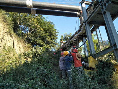 追趕超越，他們用行動(dòng)爭(zhēng)做排頭兵