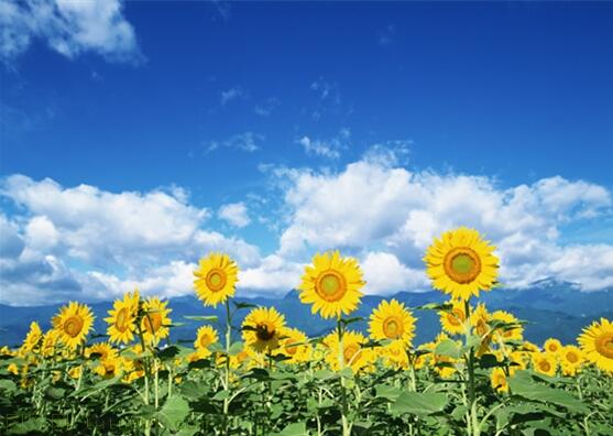 用責(zé)任點(diǎn)燃青春，以擔(dān)當(dāng)成就事業(yè)