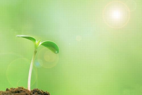 歲生之初，且聽我說