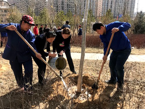 義務(wù)植樹(shù)展風(fēng)采 我與神南共成長(zhǎng)