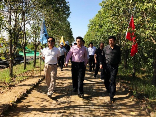 陜西省總工會黨組書記、主席白阿瑩一行蒞臨鄠邑區(qū)調(diào)研考察草堂寺健康養(yǎng)老示范項目