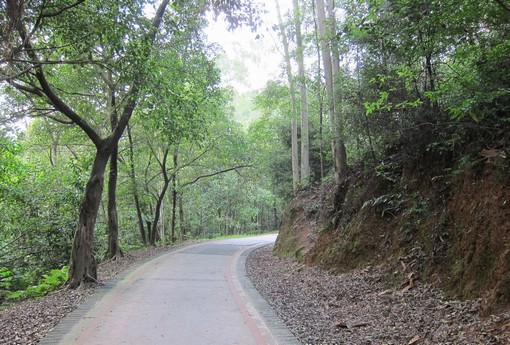 成功之路沒(méi)有捷徑