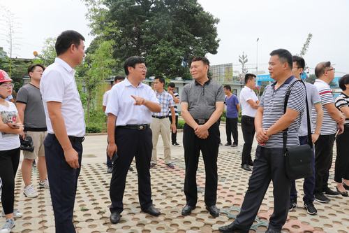 渭南臨渭區(qū)人大領導一行深入禮悅閣項目工地展開調研