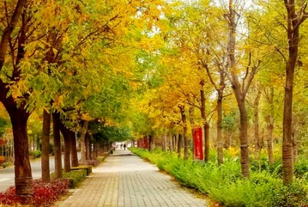 天涼好個(gè)秋