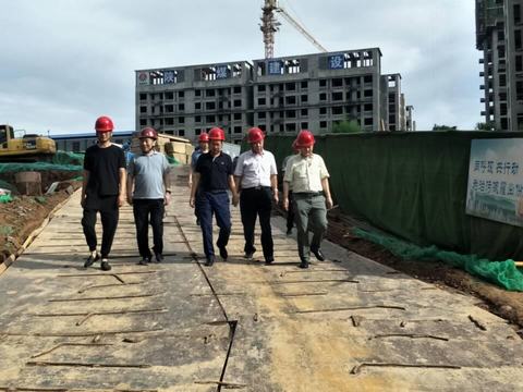 贠公法在航天城藍山水岸項目調(diào)研