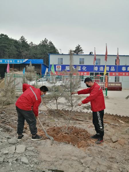 陜煤建設礦建二公司建莊項目部開展“植樹抗疫、青年先行”植樹活動