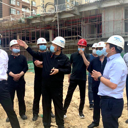王寧深入大秦置業(yè)公司龍灣水境項(xiàng)目檢查指導(dǎo)項(xiàng)目開發(fā)建設(shè)工作