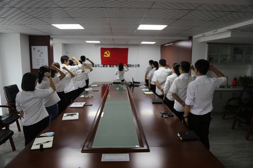 咸陽分公司積極開展“慶七一”主題黨日活動