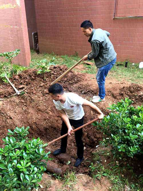 陜煤建設(shè)公司：江南世紀城小區(qū)為業(yè)主創(chuàng)建衛(wèi)生文明環(huán)境