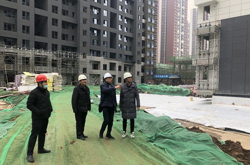 中國建筑標準設計研究院總建筑師劉東衛(wèi)蒞臨藍山水岸項目參觀指導考察