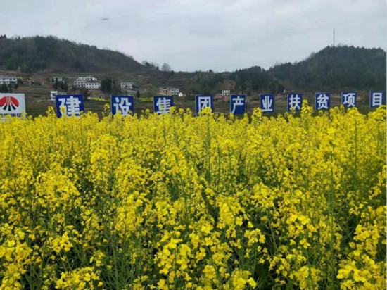 公司領(lǐng)導(dǎo)寧興剛、侯本英到扶貧定點幫扶村看望慰問困難群眾