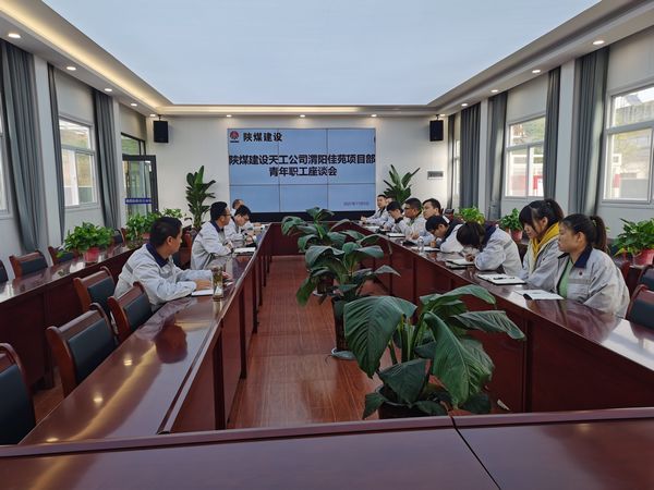 陜煤建設(shè)天工公司渭陽佳苑項目部召開“學(xué)習(xí)本領(lǐng)+錘煉品德”專題青工座談會