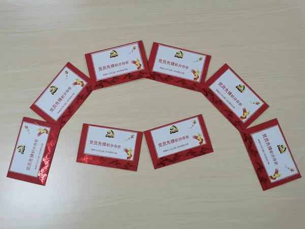 “黨員先鋒”的播種、開花與結(jié)果