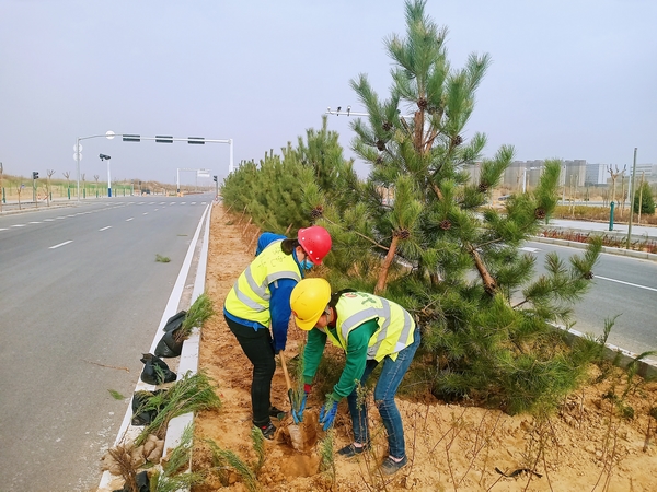 陜煤建設承建的科創(chuàng)新城市政一期工程N1項目經(jīng)理部全面啟動綠化作業(yè)