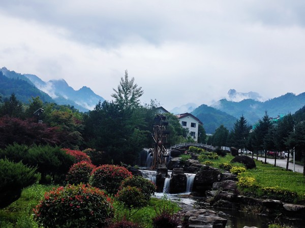 在木王山，遇見21℃的夏天