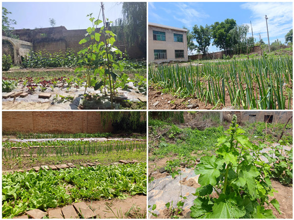 陜煤建設(shè)礦建三公司：項(xiàng)目部里的“開(kāi)心農(nóng)場(chǎng)”