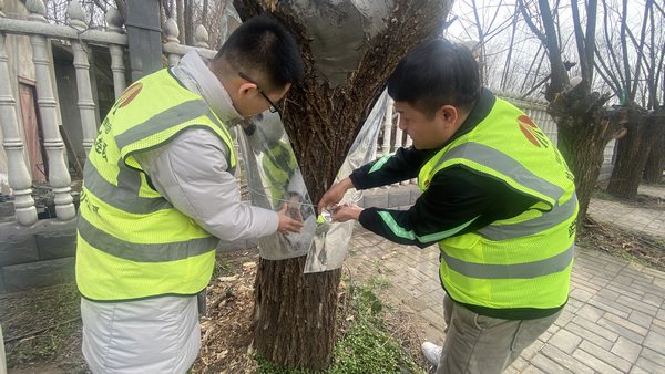 陜煤建設(shè)路橋分公司渭南項目部開展“綠色修復(fù)，生態(tài)共贏”別樣植樹節(jié)活動