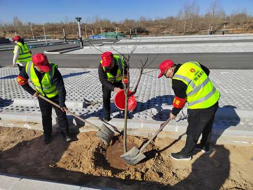 陜煤建設(shè)榆林公司開(kāi)展“春日有約 ‘益’起種樹(shù) 綠色傳承 根植心間”主題黨日活動(dòng)