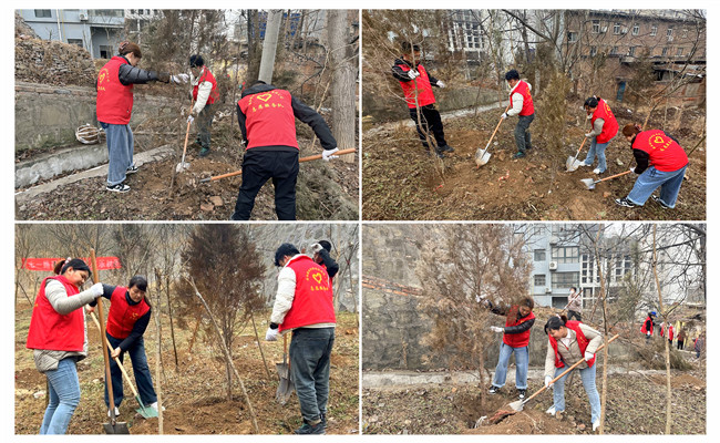 陜煤建設(shè)機(jī)電安裝公司：走，上春山，植樹去！