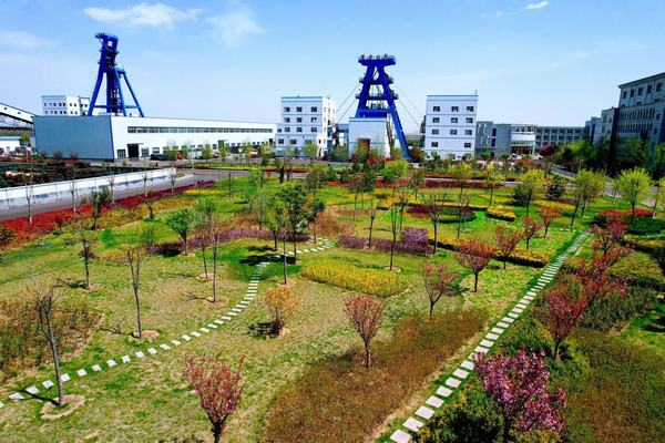 踏尋春天的底色，感知生命的力量