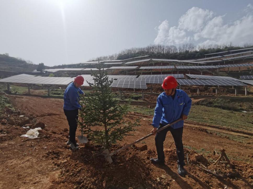 陜煤建設(shè)西北分公司機(jī)電安裝項(xiàng)目部： 全員參與，共筑綠色屏障