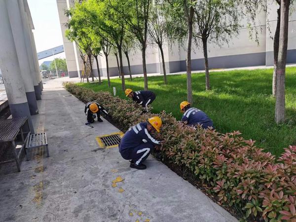 陜煤建設(shè)洗選煤運(yùn)營(yíng)公司神渭蒲城運(yùn)營(yíng)項(xiàng)目部：逐”綠”而行 向”綠”而興！廠區(qū)綠化在行動(dòng)