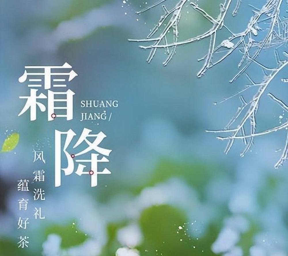 霜降：秋的告別式