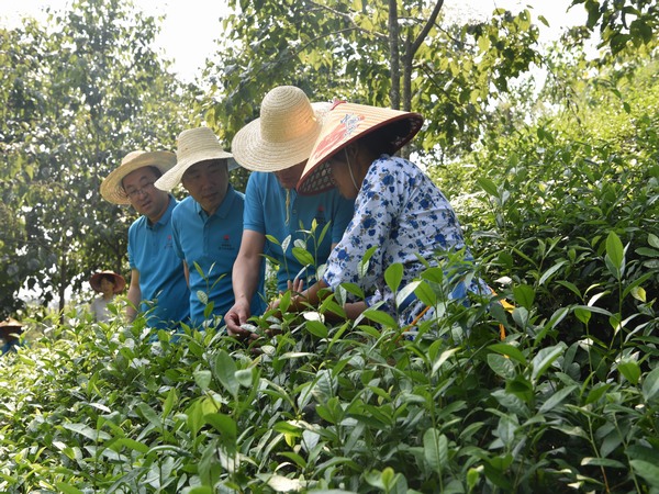 陜煤建設(shè)煤礦運營服務(wù)分公司：全方位提升職工幸福指數(shù)