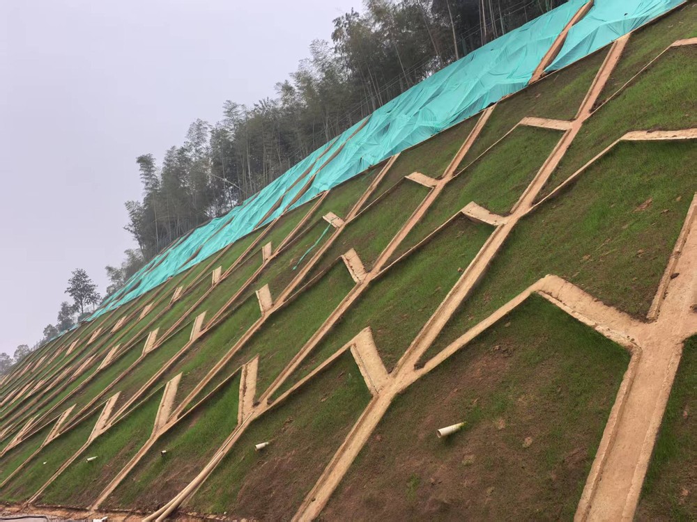 陜煤建設(shè)西北分公司：邊坡披綠衣，防護(hù)顯匠心