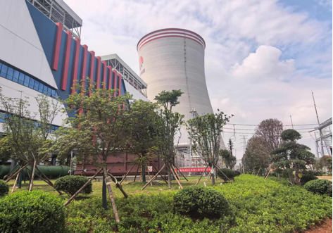 陜煤建設(shè)西北分公司：綠意盎然入電廠，生態(tài)建設(shè)譜新章