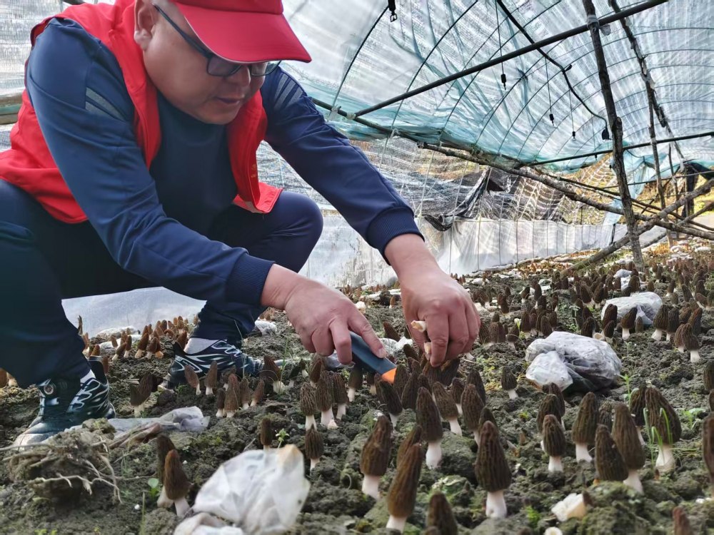 陜煤建設(shè)煤礦運營服務(wù)分公司：駐村干部顯擔(dān)當(dāng) 宣傳賦能促振興