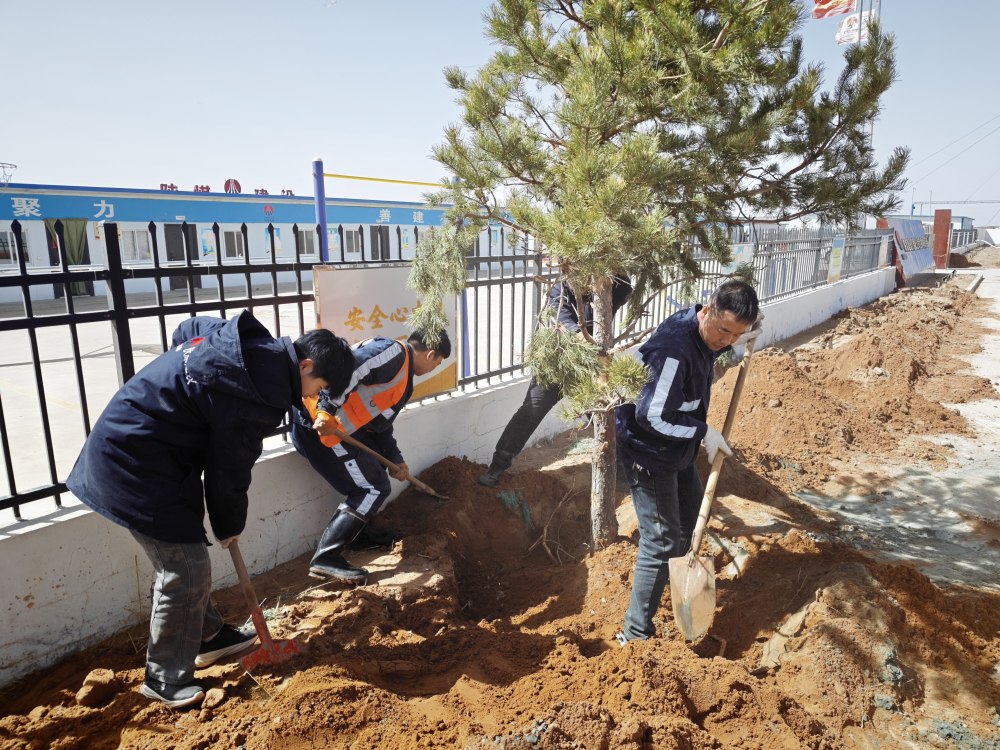 陜煤建設礦建三公司：植綠潤人心 聚力促實干